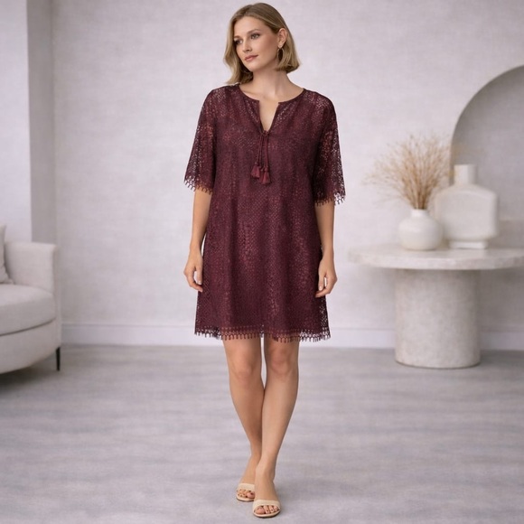 JONATHAN SIMKHAI New Lace Applique Tie V Neck Cabernet Tunic Top Dress‎ SMALL